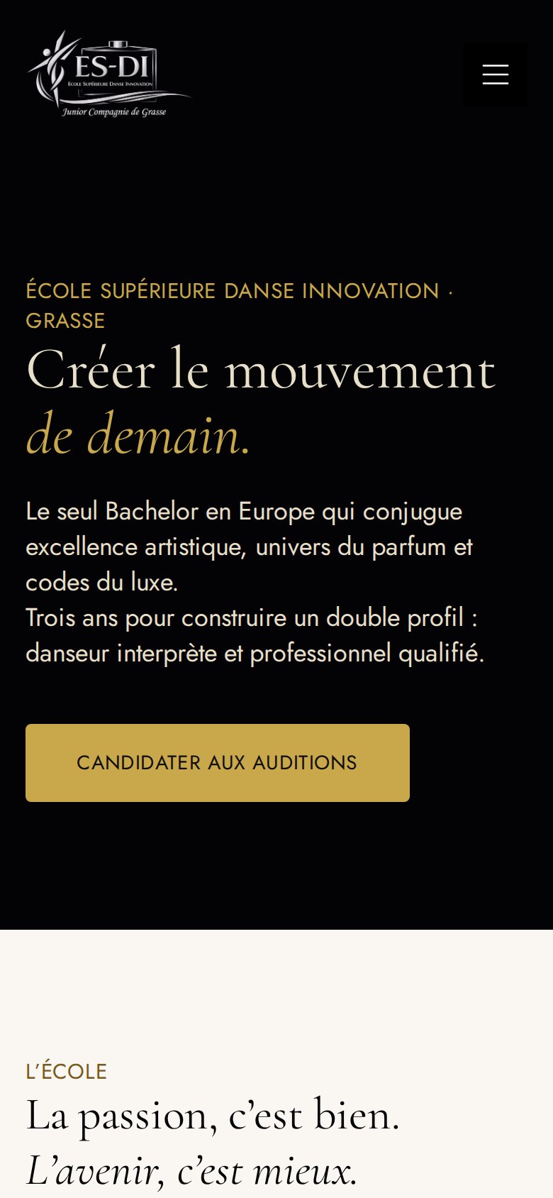 Version mobile du site ES-DI